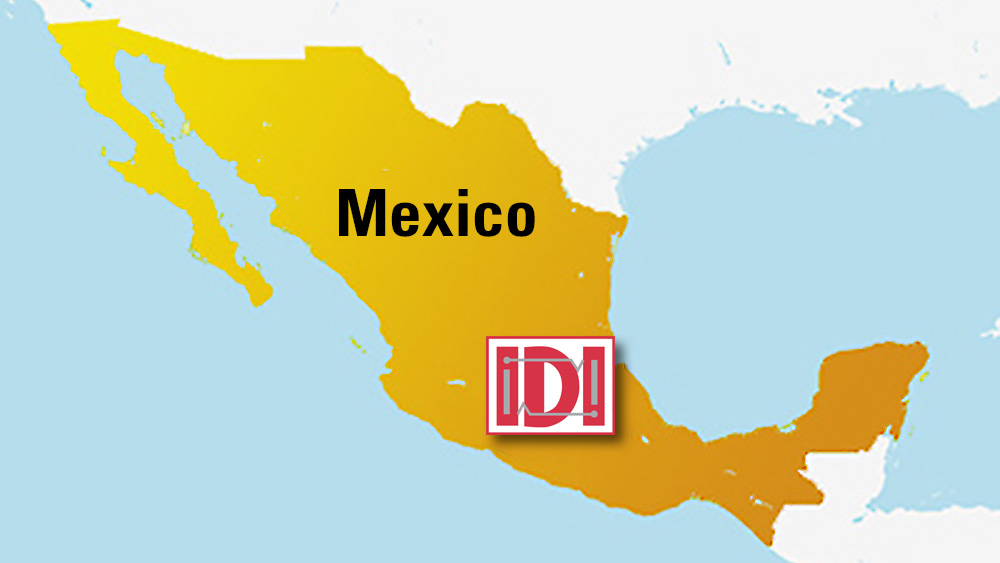IDI Composites Mexico
